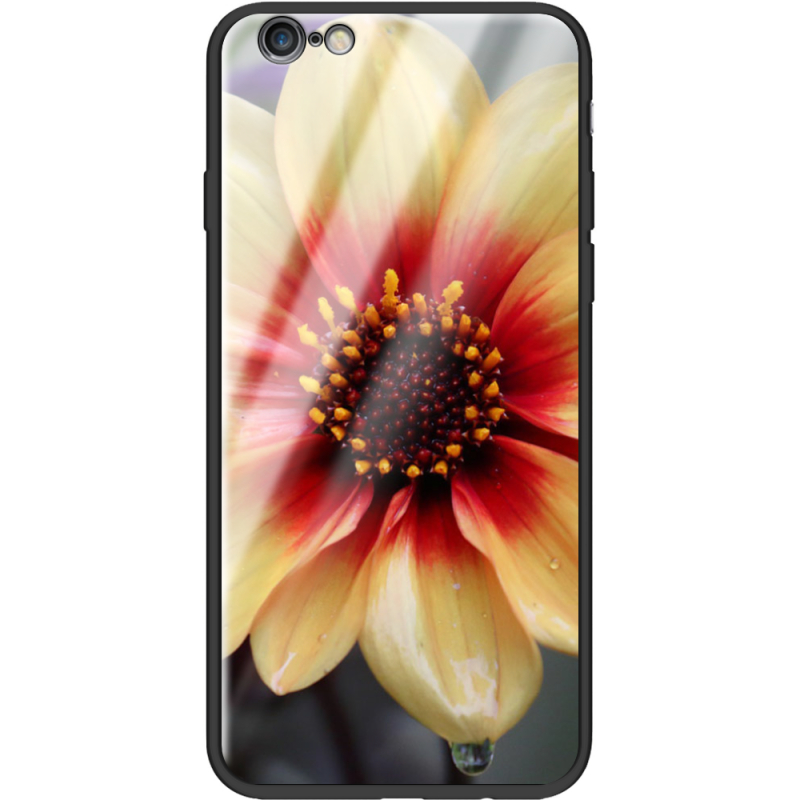 Защитный чехол BoxFace Glossy Panel Apple iPhone 6 Plus 