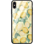 Защитный чехол BoxFace Glossy Panel Apple iPhone XS Max 