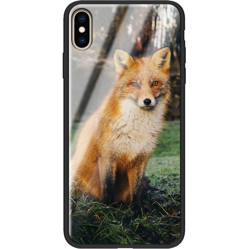 Защитный чехол BoxFace Glossy Panel Apple iPhone XS Max 