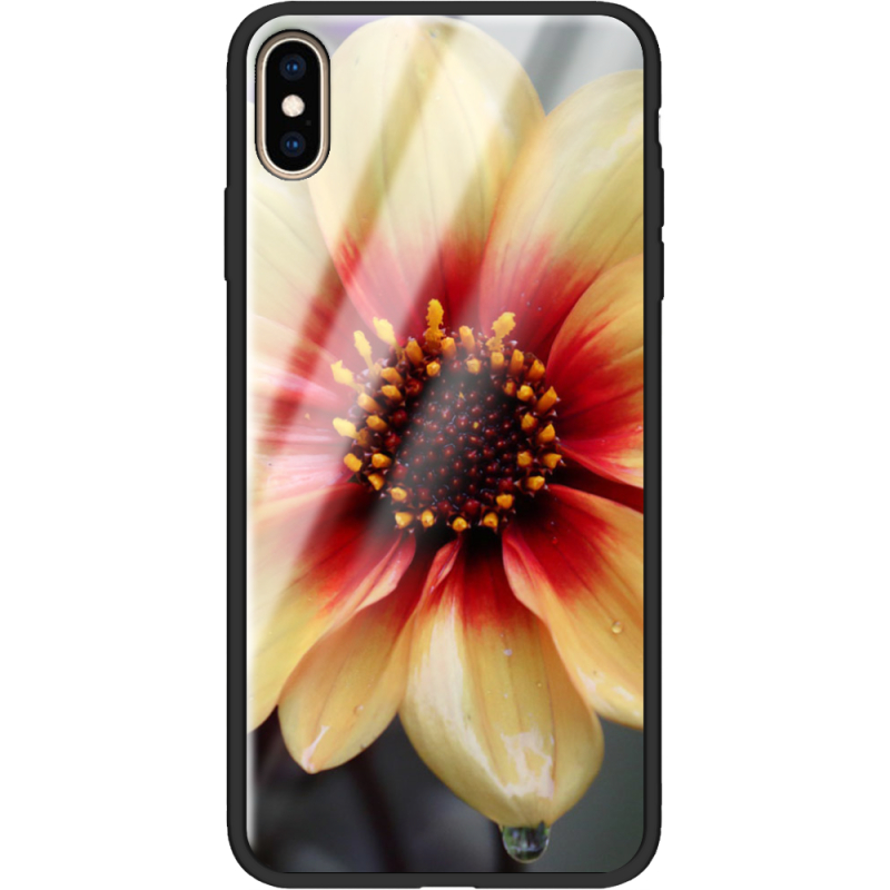 Защитный чехол BoxFace Glossy Panel Apple iPhone XS Max 