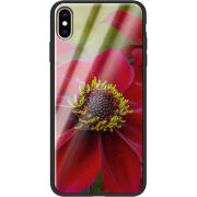 Защитный чехол BoxFace Glossy Panel Apple iPhone XS Max 