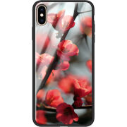 Защитный чехол BoxFace Glossy Panel Apple iPhone XS Max 