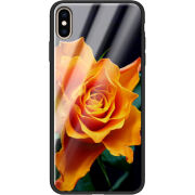 Защитный чехол BoxFace Glossy Panel Apple iPhone XS Max 