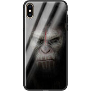 Защитный чехол BoxFace Glossy Panel Apple iPhone XS Max The Gorilla