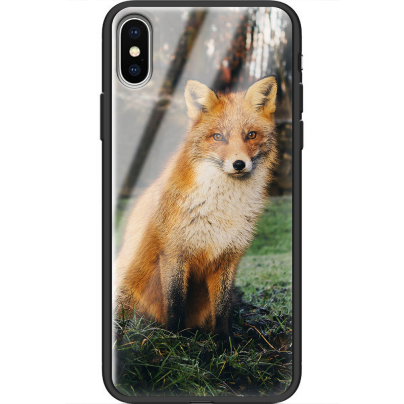 Защитный чехол BoxFace Glossy Panel Apple iPhone X 