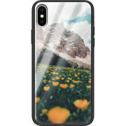 Защитный чехол BoxFace Glossy Panel Apple iPhone X 