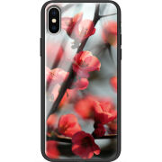 Защитный чехол BoxFace Glossy Panel Apple iPhone X 