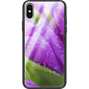 Защитный чехол BoxFace Glossy Panel Apple iPhone X 