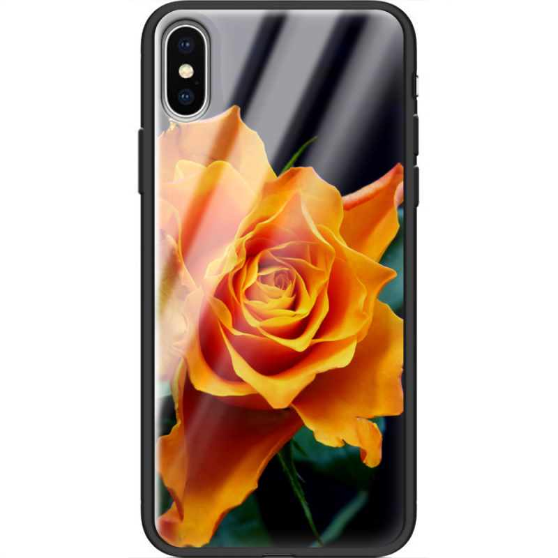 Защитный чехол BoxFace Glossy Panel Apple iPhone X 