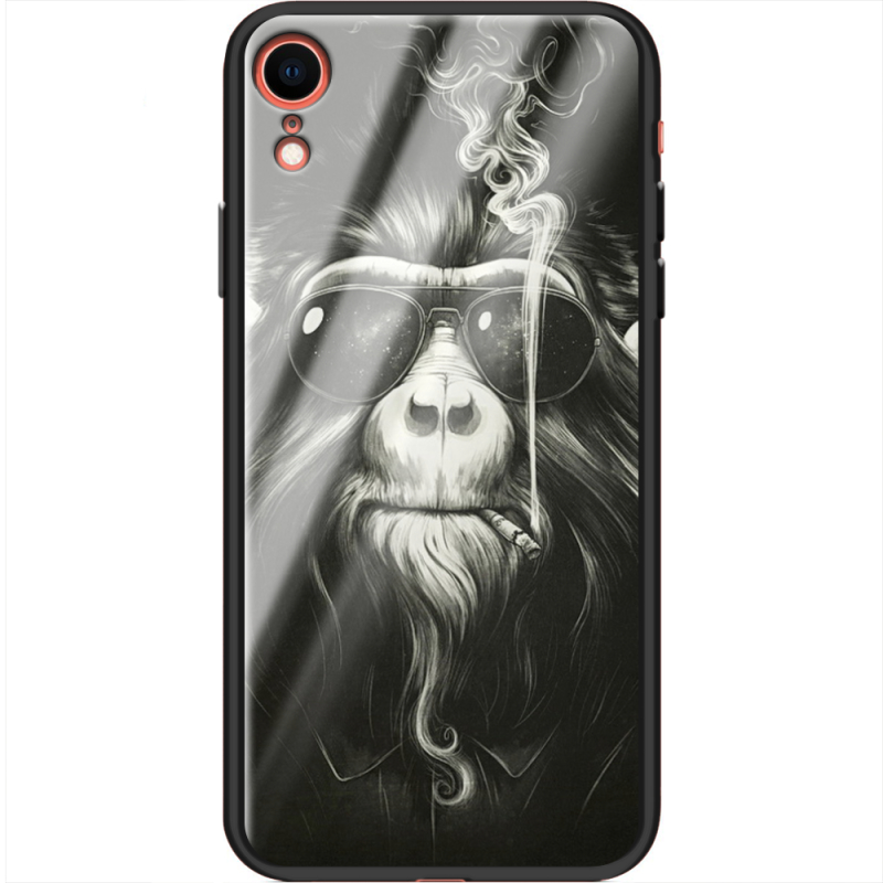 Защитный чехол BoxFace Glossy Panel Apple iPhone XR Smokey Monkey
