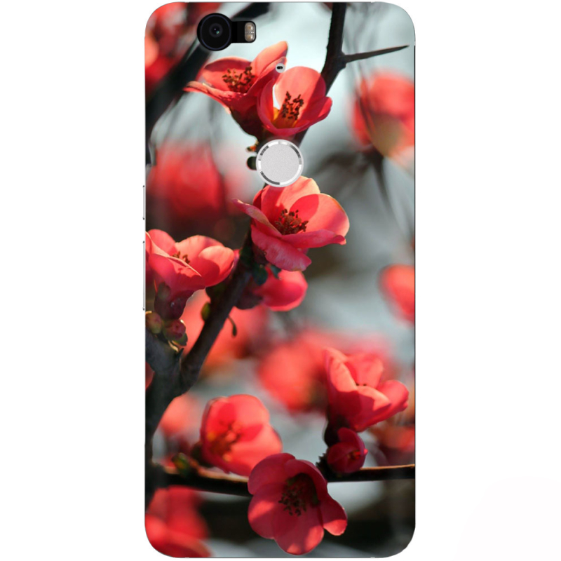 Чехол Uprint Huawei Nexus 6P Awakening Spring