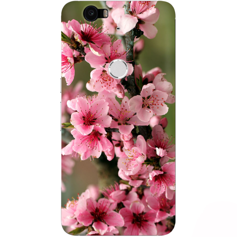 Чехол Uprint Huawei Nexus 6P Вишневые Цветы