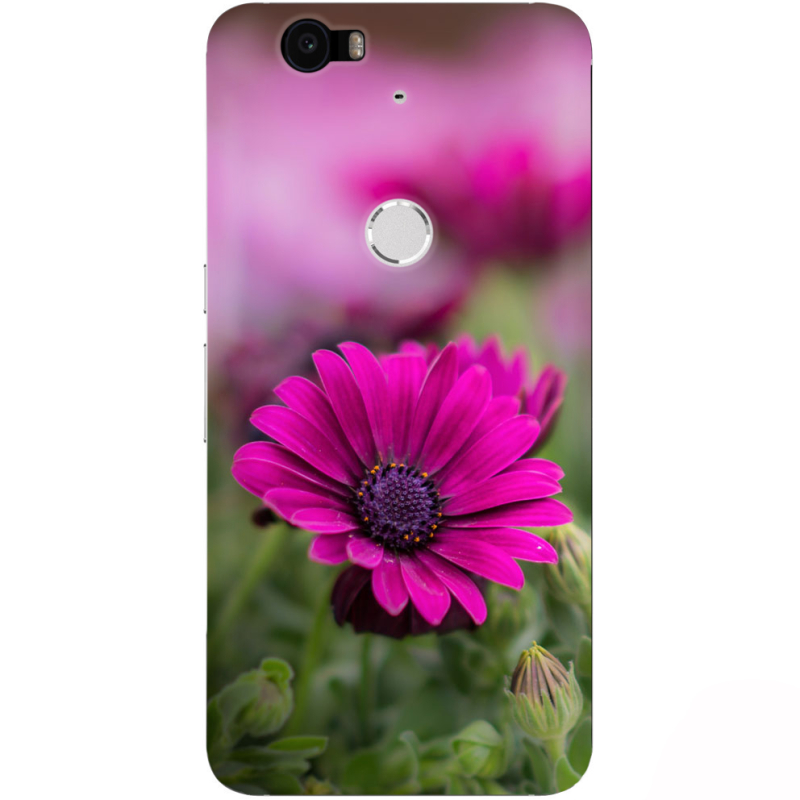 Чехол Uprint Huawei Nexus 6P 