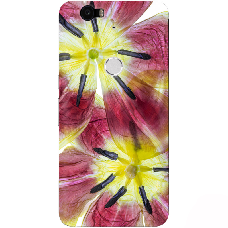 Чехол Uprint Huawei Nexus 6P 