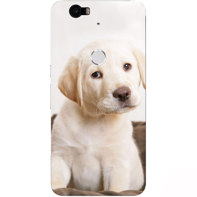 Чехол Uprint Huawei Nexus 6P Puppy Labrador