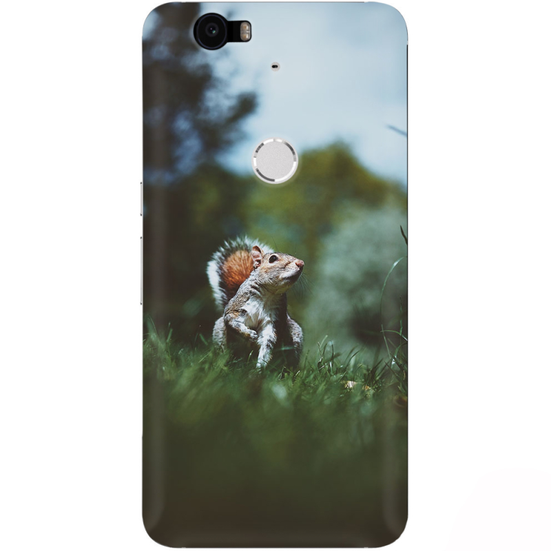 Чехол Uprint Huawei Nexus 6P 