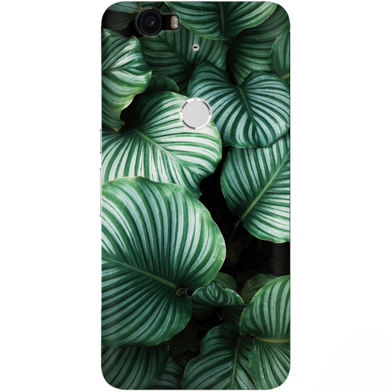 Чехол Uprint Huawei Nexus 6P 
