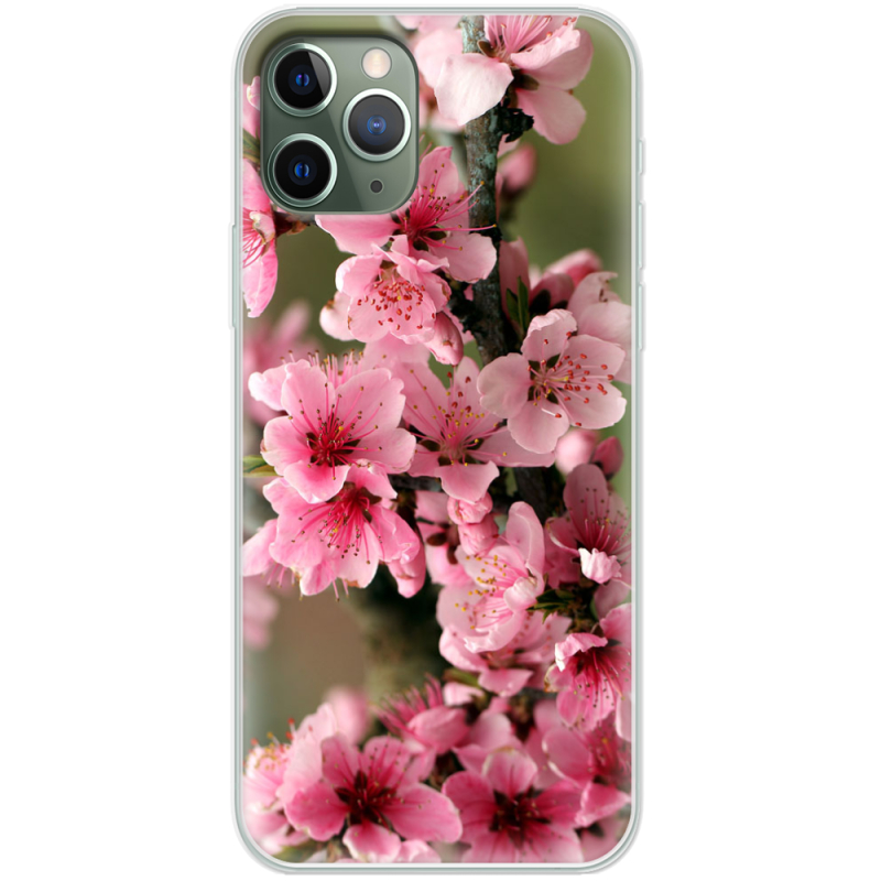Чехол Uprint Apple iPhone 11 Pro Вишневые Цветы