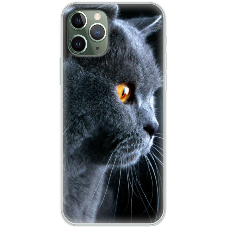 Чехол Uprint Apple iPhone 11 Pro English cat
