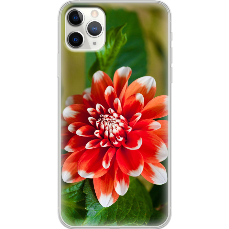 Чехол Uprint Apple iPhone 11 Pro Max 