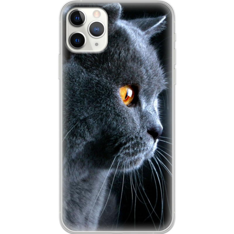 Чехол Uprint Apple iPhone 11 Pro Max English cat