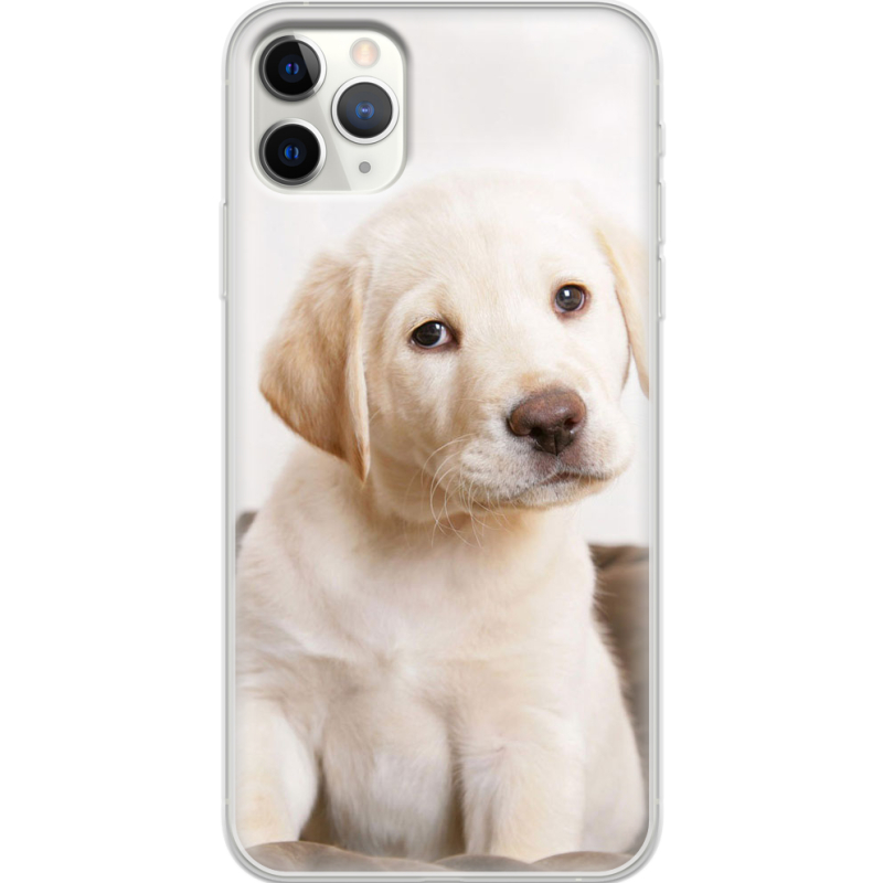 Чехол Uprint Apple iPhone 11 Pro Max Puppy Labrador