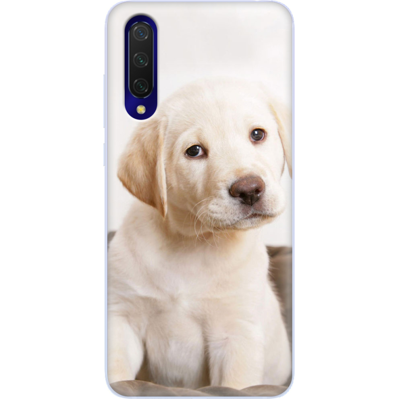 Чехол Uprint Xiaomi Mi 9 Lite Puppy Labrador