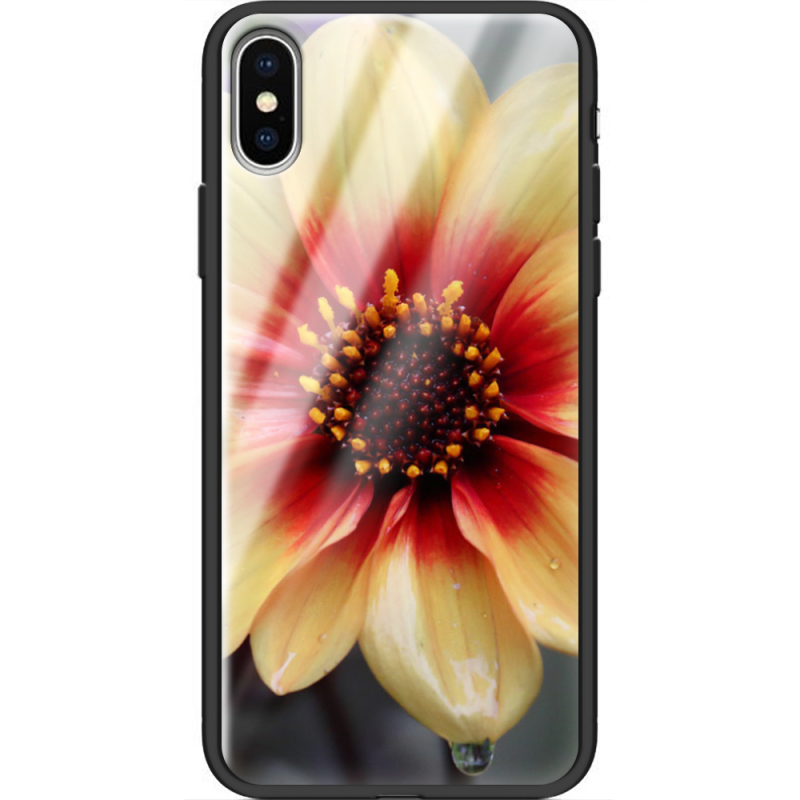 Защитный чехол BoxFace Glossy Panel Apple iPhone XS 