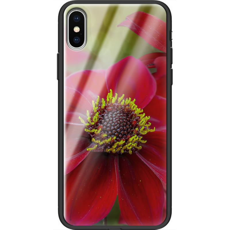 Защитный чехол BoxFace Glossy Panel Apple iPhone XS 