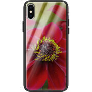 Защитный чехол BoxFace Glossy Panel Apple iPhone XS 