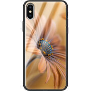 Защитный чехол BoxFace Glossy Panel Apple iPhone XS 