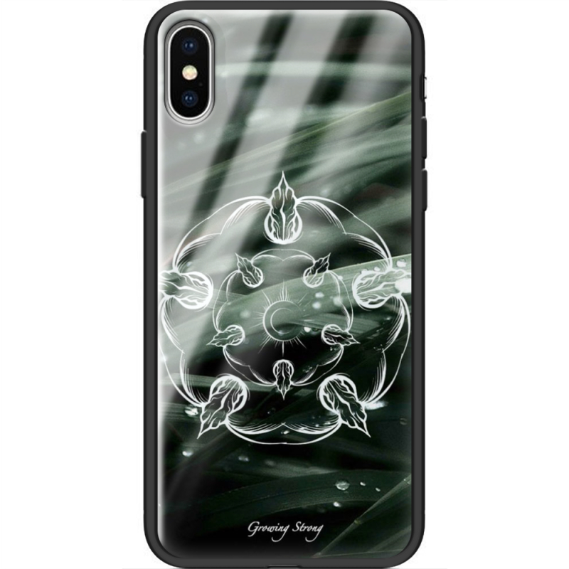 Защитный чехол BoxFace Glossy Panel Apple iPhone XS 