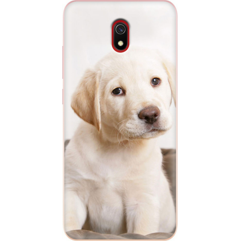 Чехол Uprint Xiaomi Redmi 8A Puppy Labrador