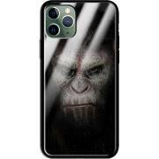 Защитный чехол BoxFace Glossy Panel Apple iPhone 11 Pro The Gorilla