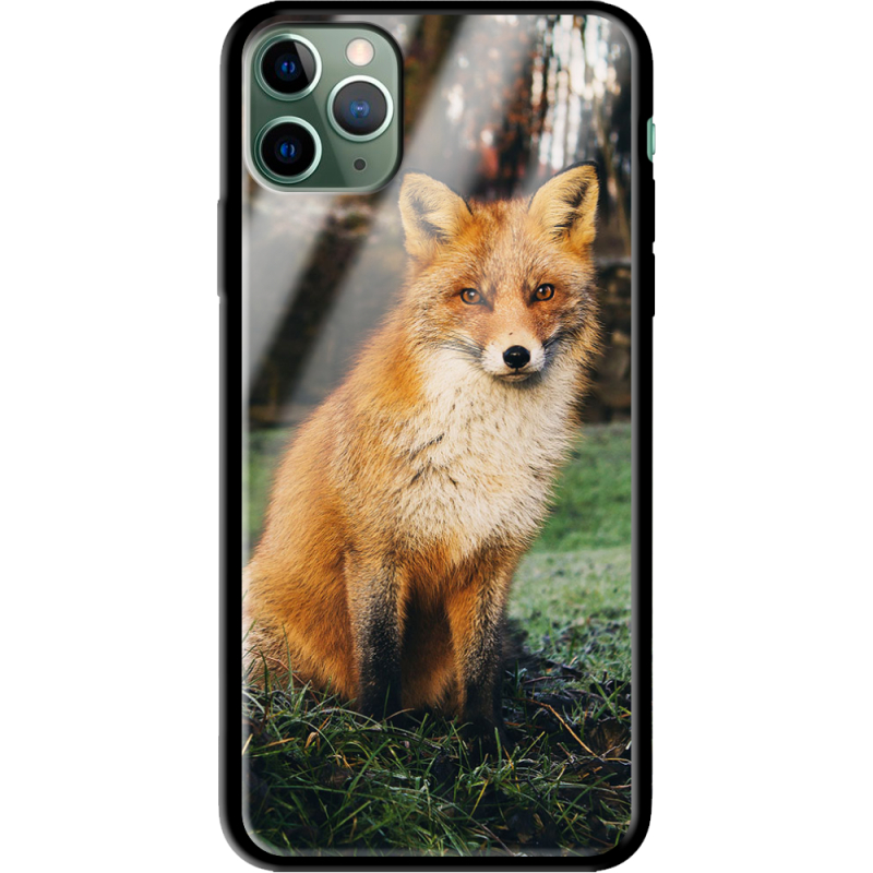 Защитный чехол BoxFace Glossy Panel Apple iPhone 11 Pro Max 