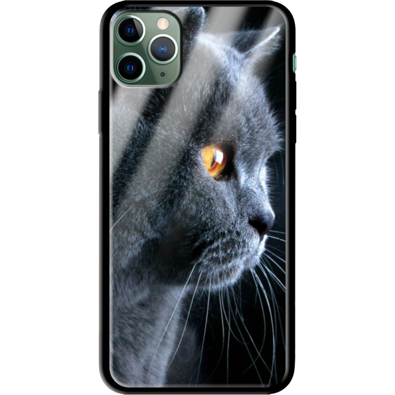 Защитный чехол BoxFace Glossy Panel Apple iPhone 11 Pro Max 