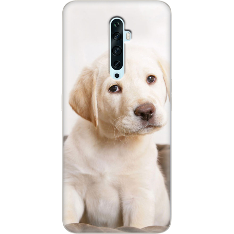 Чехол Uprint OPPO Reno2 Z Puppy Labrador