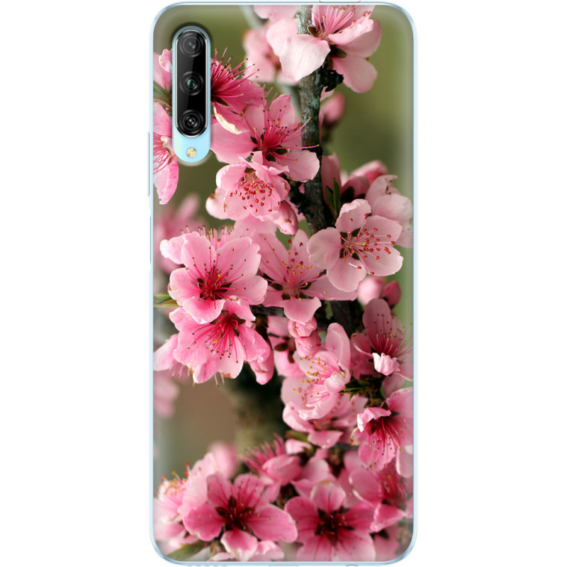 Чехол Uprint Huawei P Smart Pro Вишневые Цветы
