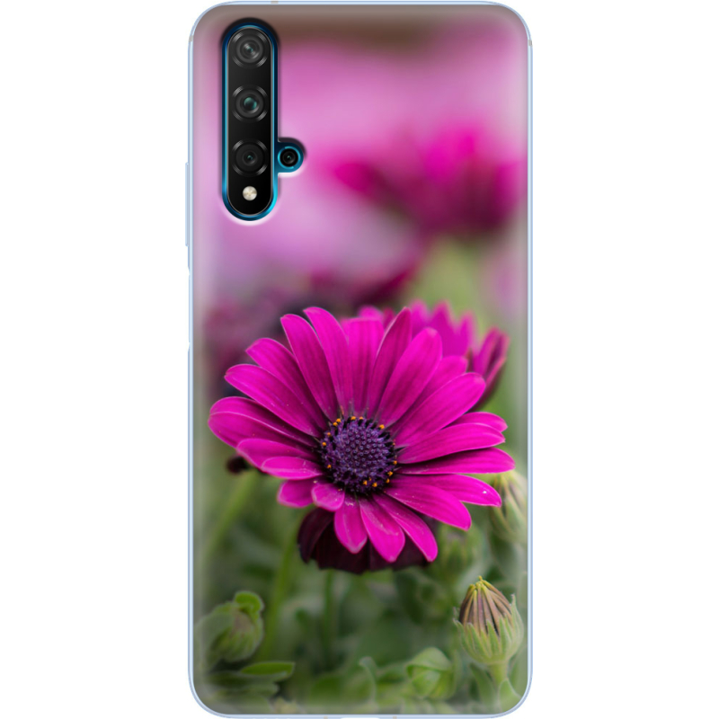 Чехол Uprint Huawei Nova 5T 