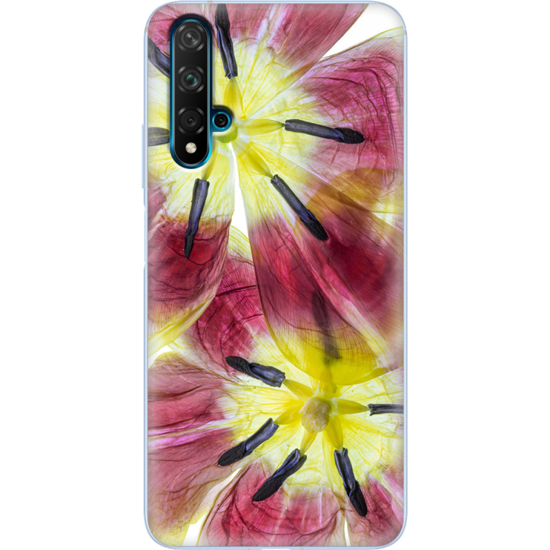 Чехол Uprint Huawei Nova 5T 