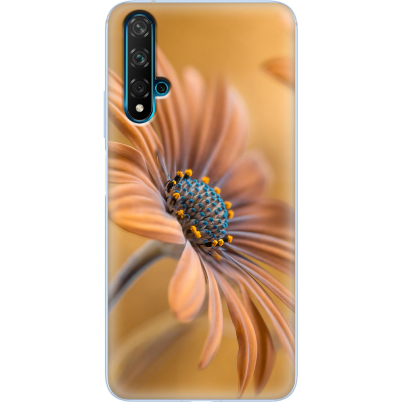 Чехол Uprint Huawei Nova 5T 