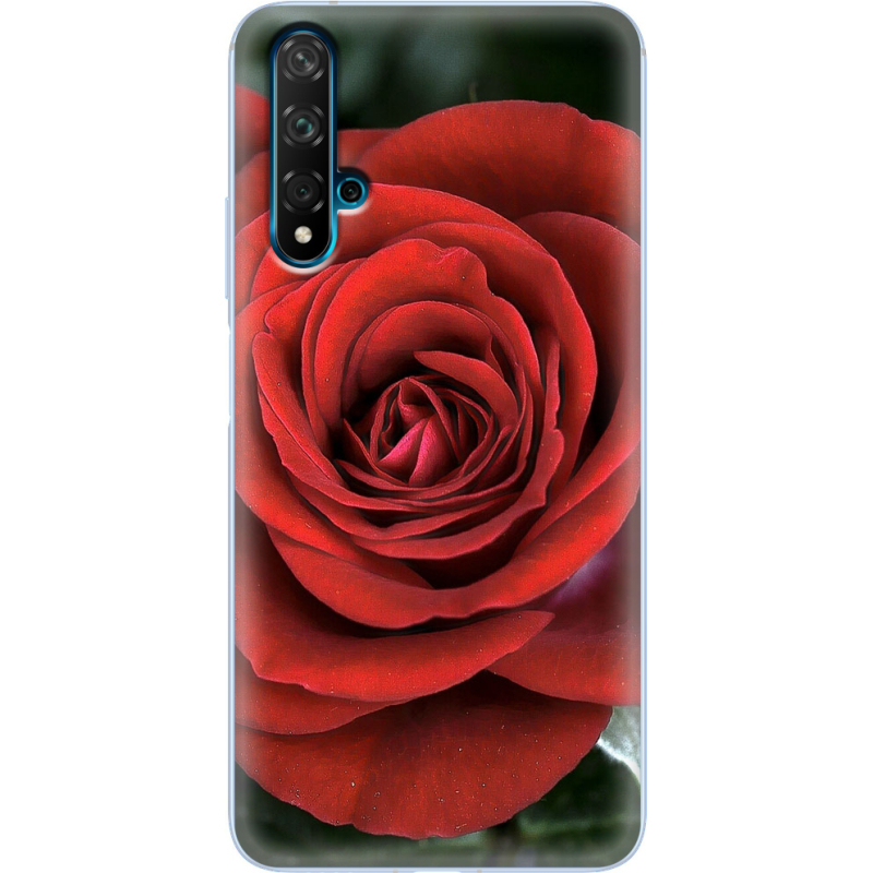 Чехол Uprint Huawei Nova 5T 