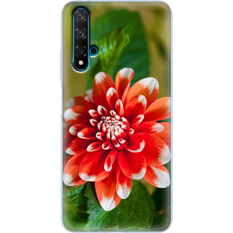 Чехол Uprint Huawei Nova 5T 