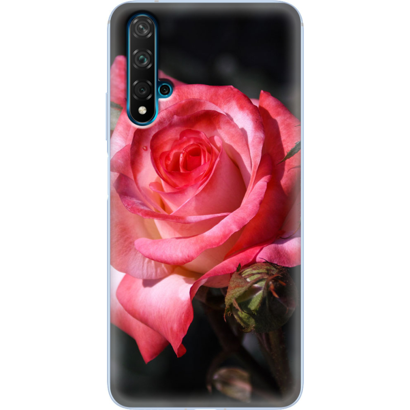 Чехол Uprint Huawei Nova 5T 