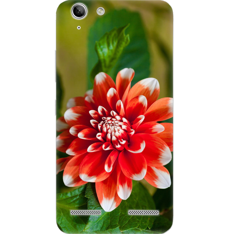 Чехол Uprint Lenovo K5 /K5 Plus (A6020a40/ A6020a46) 