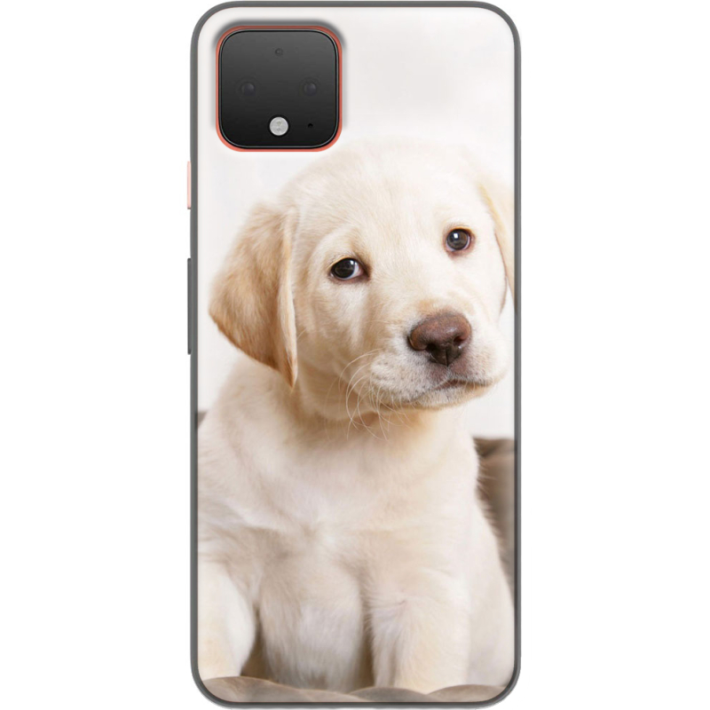 Чехол Uprint Google Pixel 4 Puppy Labrador