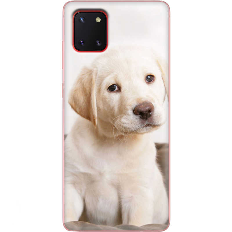 Чехол BoxFace Samsung N770 Galaxy Note 10 Lite Puppy Labrador