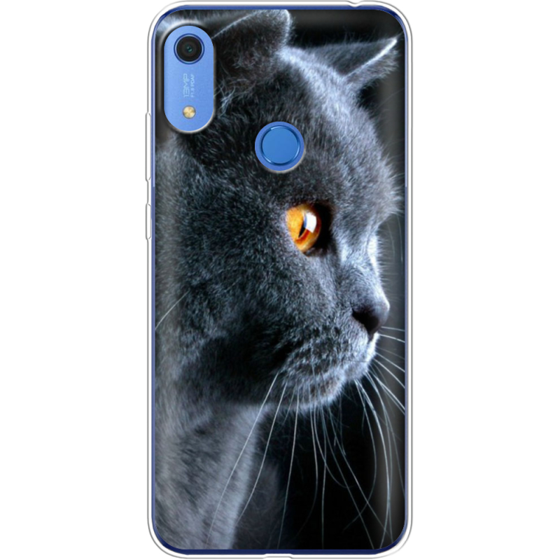 Чехол BoxFace Huawei Y6s English cat