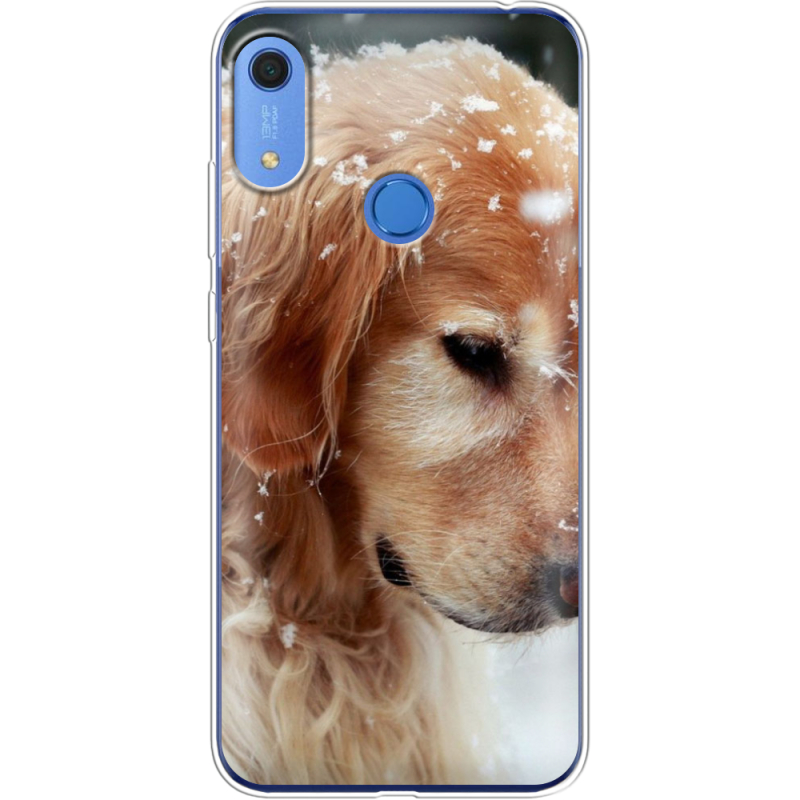 Чехол BoxFace Huawei Y6s Golden Retriever