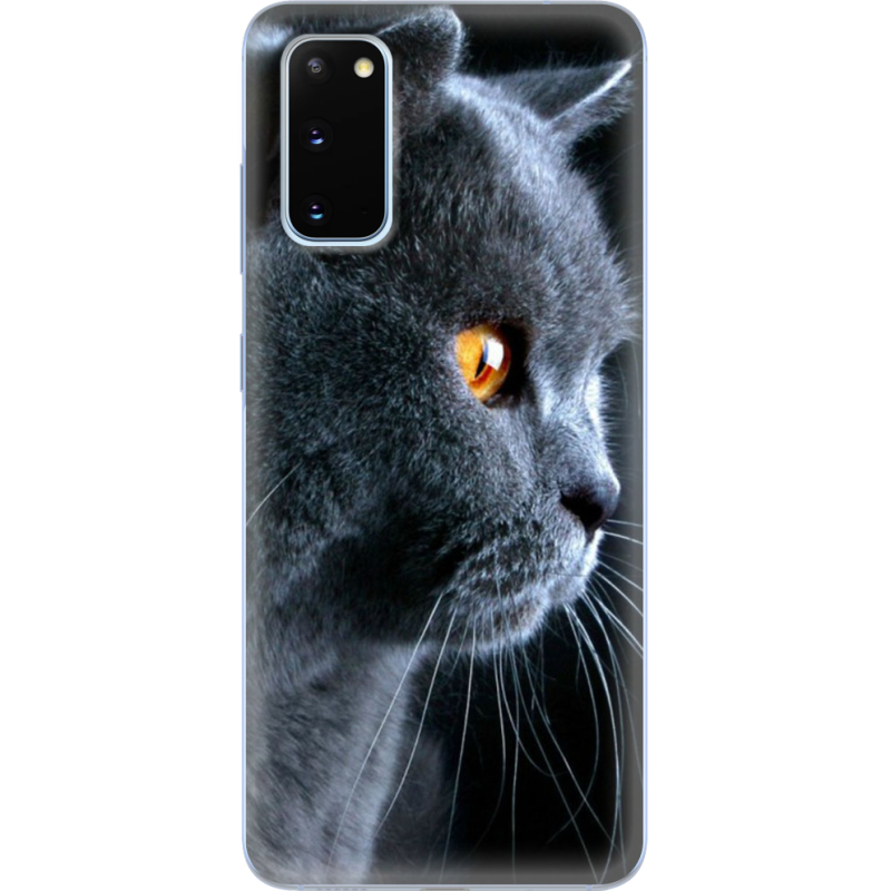 Чехол BoxFace Samsung G980 Galaxy S20 English cat